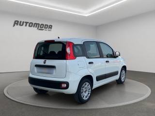 FIAT Panda usata, con Autoradio