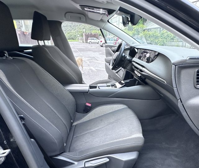 DS AUTOMOBILES DS 4 usata, con Climatizzatore