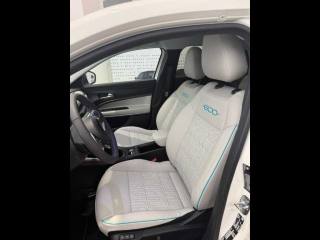 FIAT 600 usata, con Fendinebbia