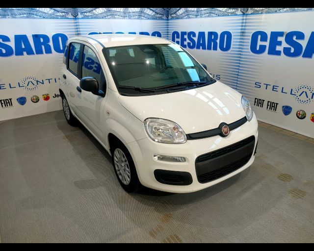FIAT New Panda usata, con Airbag