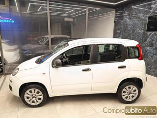 FIAT Panda usata, con Cerchi in lega