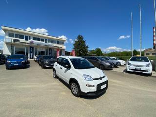 FIAT Panda usata 17