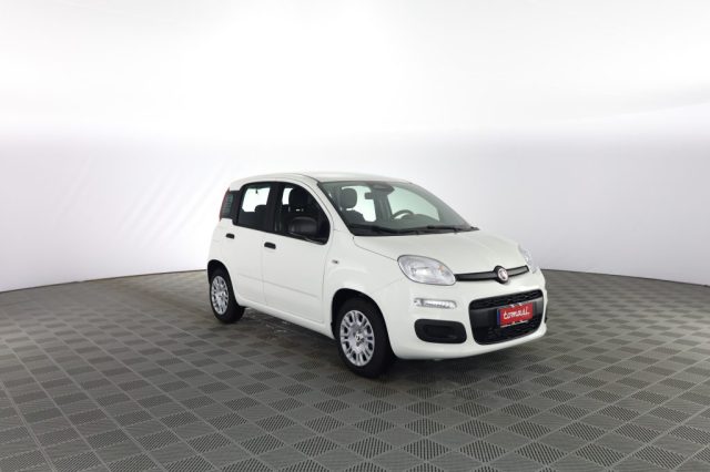 FIAT Panda usata 1