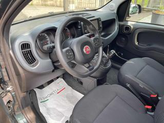 FIAT Panda Cross usata, con Climatizzatore