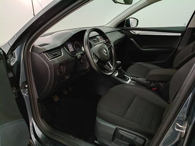SKODA Octavia usata, con Fendinebbia