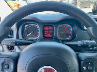 FIAT Panda usata 19