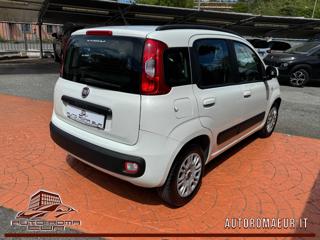 FIAT Panda usata, con Alzacristalli elettrici