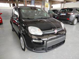 FIAT Panda usata, con Antifurto
