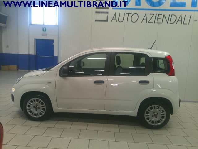FIAT Panda usata, con Controllo trazione