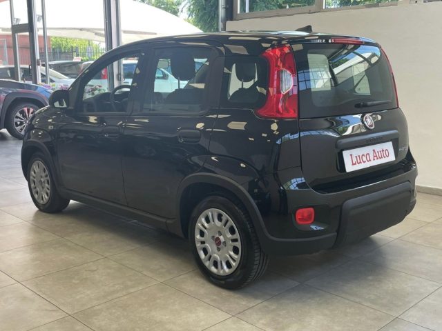 FIAT Panda usata, con Climatizzatore