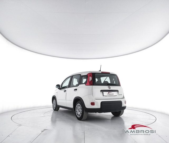 FIAT Panda usata 3
