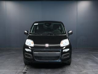 FIAT Pandina usata, con Airbag