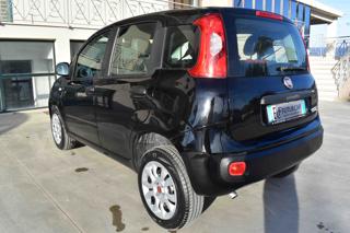 FIAT Panda usata 13