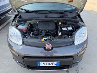 FIAT Panda usata 27