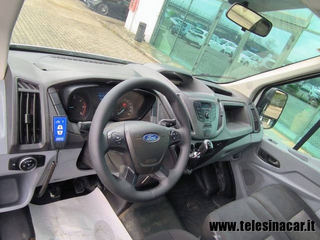 FORD usata 12
