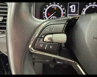 SKODA Karoq usata, con Servosterzo
