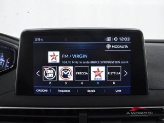 PEUGEOT 3008 usata 13