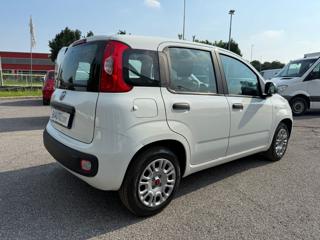 FIAT Panda usata, con Antifurto