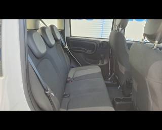 FIAT New Panda usata 16