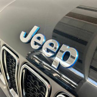 JEEP Renegade usata, con MP3