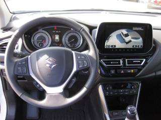 SUZUKI S-Cross usata, con Controllo trazione