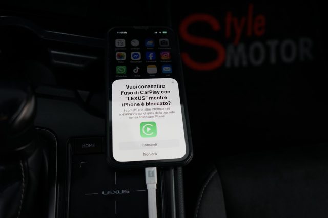 LEXUS UX 250h usata 34