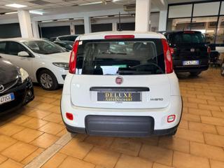 FIAT Panda usata, con Alzacristalli elettrici