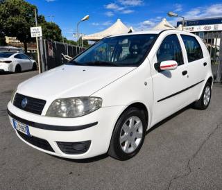 FIAT Punto usata, con Airbag Passeggero