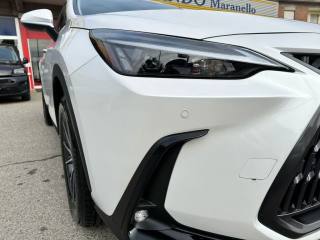 LEXUS NX 350h usata, con Antifurto