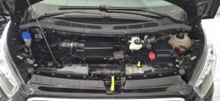 FORD Tourneo Custom usata 51