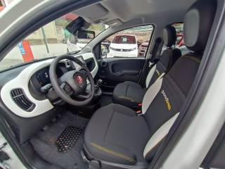 FIAT Panda usata, con Fendinebbia