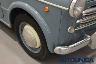 FIAT 1100 usata 49