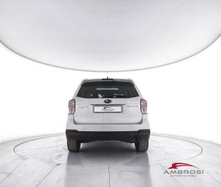 SUBARU Forester usata 5