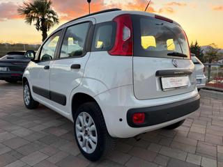 FIAT Panda usata, con Alzacristalli elettrici