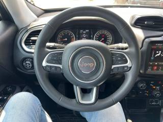 JEEP Renegade usata, con Cerchi in lega