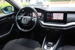 SKODA Octavia usata 138