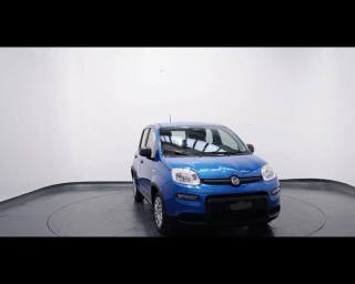 FIAT Panda usata, con Controllo trazione