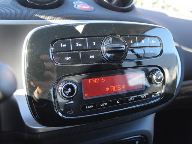 SMART ForTwo usata, con Vivavoce