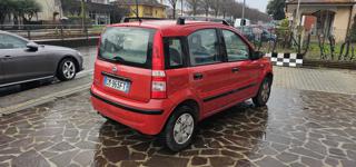 FIAT Panda usata, con Chiusura centralizzata