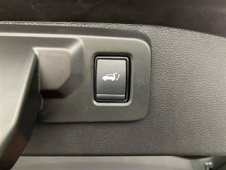 RENAULT Austral usata 28