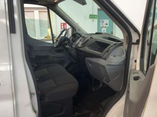 FORD Transit usata, con Fendinebbia
