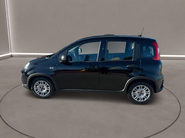 FIAT Panda usata, con Controllo trazione