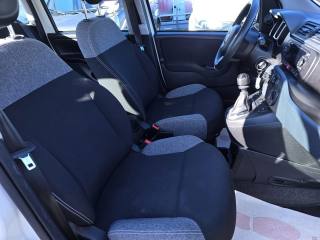 FIAT Panda usata 14