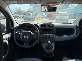 FIAT Panda usata 11