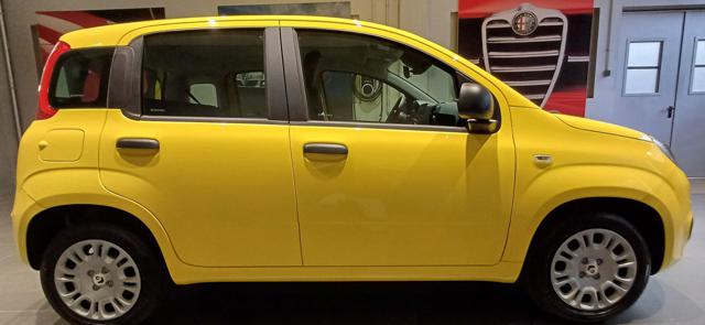 FIAT Panda usata, con Airbag Passeggero