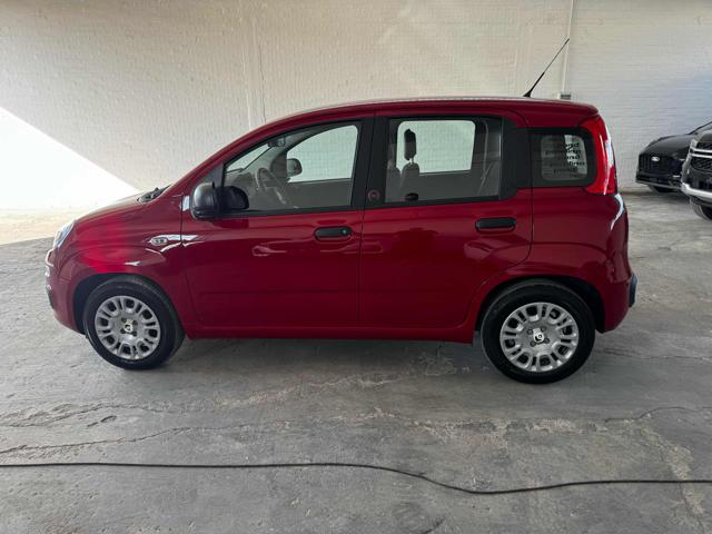 FIAT Panda usata, con Controllo trazione