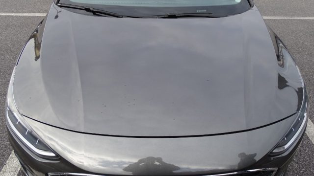 FORD Focus usata, con Adaptive Cruise Control