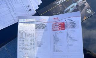 OPEL Crossland X usata 24