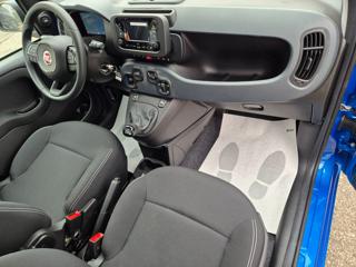 FIAT Pandina usata, con Cruise Control