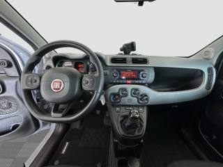 FIAT Panda usata 9
